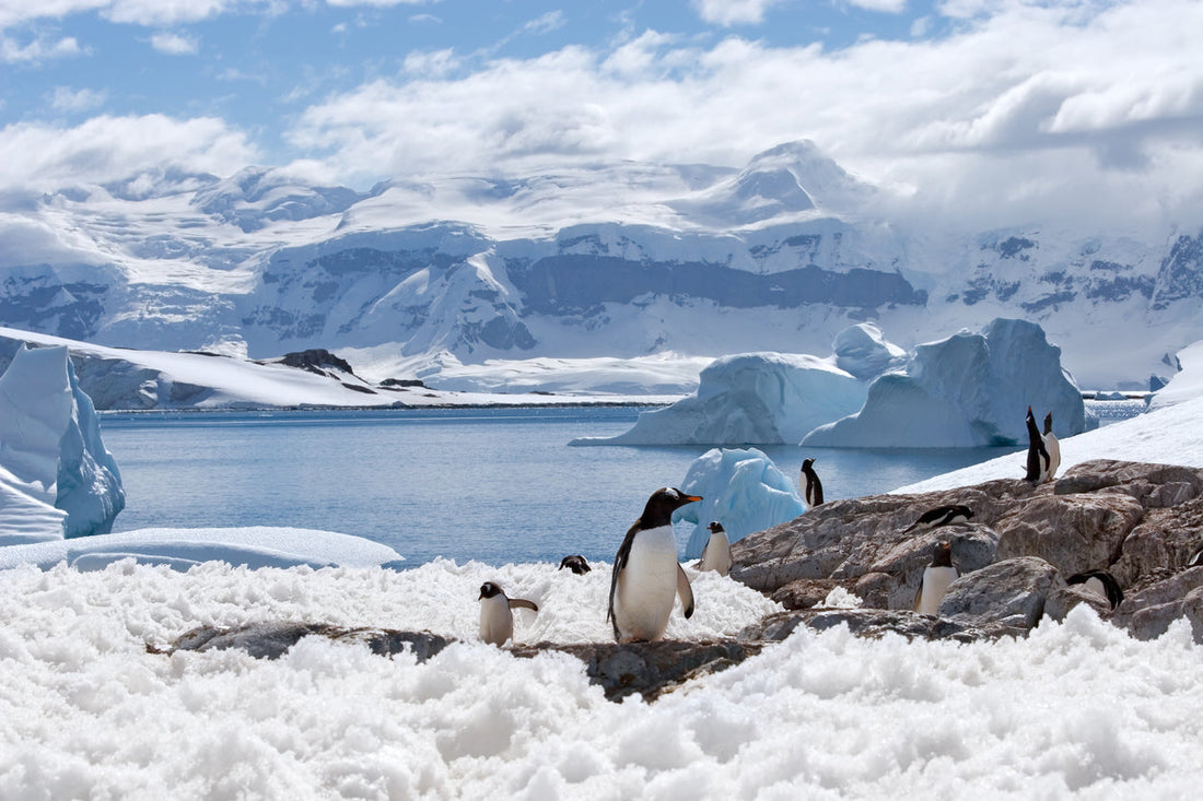 From Greenland to Antarctica