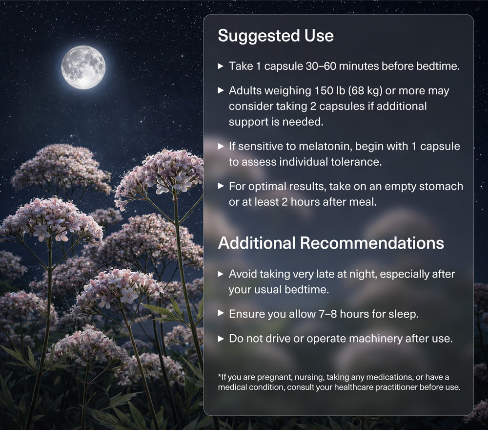Sleep Well Advanced – TravelSana