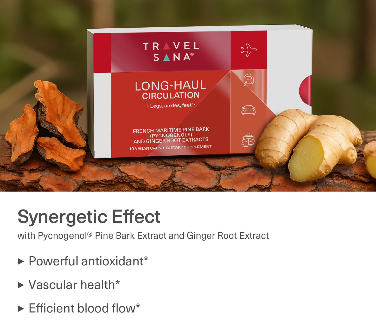 Long-Haul Circulation